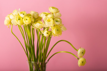 Beautiful bouquet of ranunculuses in a vase