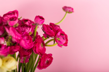 Obraz premium Beautiful bouquet of ranunculuses in a vase