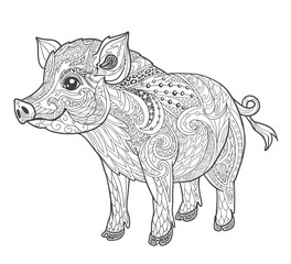 Pig coloring book page for adult in doodle style. Animal vector illustration for tattoo, print and t-shirt isolated on white.