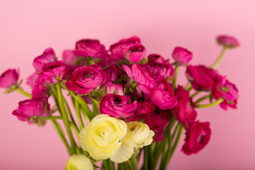 Beautiful bouquet of ranunculuses in a vase