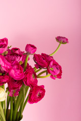Fototapeta premium Beautiful bouquet of ranunculuses in a vase