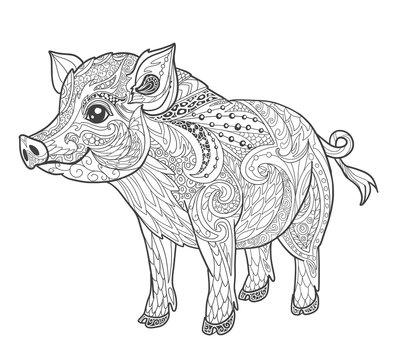 Pig coloring book page for adult in doodle style. Animal vector illustration for tattoo, print and t-shirt isolated on white.