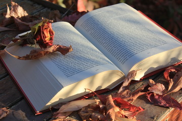 open book outdoor with a rose made of leaves , dry leaves around, autumn time