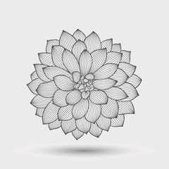 Abstract monochrome floral background. Hand drawing flower dahlia. Element for design