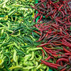 Green and red chili pepper