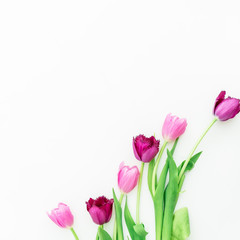 Spring background. Pink tulips on white background. Flat lay, top view.