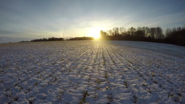 Wintertime wheat field with green sprouts covered snow and beautiful evening sunset in farmland, time lapse 4K 