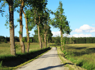 Fototapeta na wymiar Bicycle ride on a scenic road on meadows of southern Bohemia