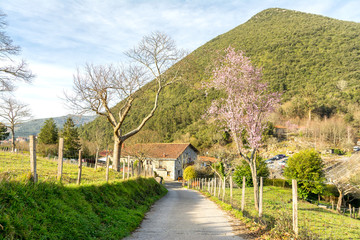 Fototapeta na wymiar road to rural landscape at basque country, Spain