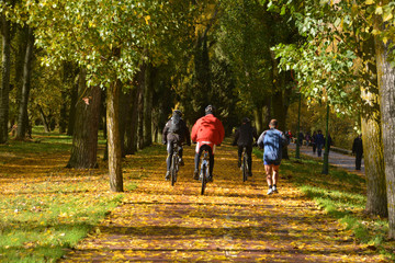 Obraz premium excursión en bicicleta bajo los árboles en otoño