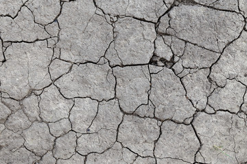 drought cracked earth