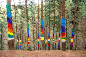 Wandcirkels plexiglas geschilderd bos van oma in de biosfeer van urdaibai, Spanje © jon_chica