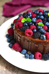 Chocolate cake with fresh forest berries.