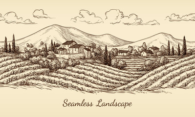 Vineyard seamless landscape.