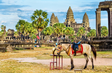 Naklejka premium Horse at the Angkor Wat temples in Cambodia