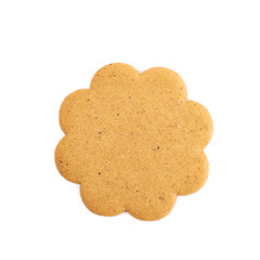 Single gingerbread cookie isolated