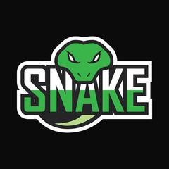 Snake sport logo design template - 138632750