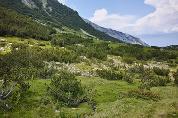 Landscape with River with clean waters,  Pirin Mountain, Bulgaria