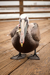 Sitting out the storm