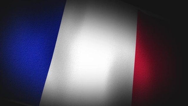 France, French, Europe, European, Flag Canvas Texture - 4K 3D Animation 
