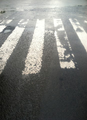 Zebra Cross 
