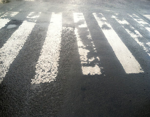 Zebra Cross 
