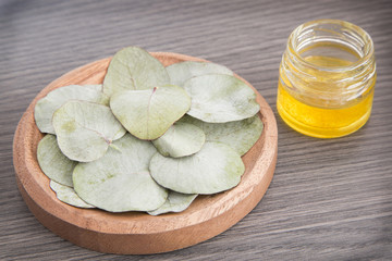Eucalyptus leaves and oil (Eucalyptus cinerea)