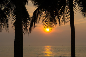 beautiful seascape in early morning with silhouette coconut palm trees.