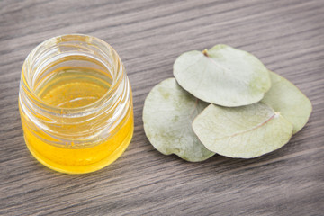 Eucalyptus leaves and oil (Eucalyptus cinerea)
