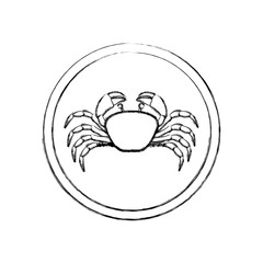 monochrome blurred line contour with crab in circular frame vector illustration