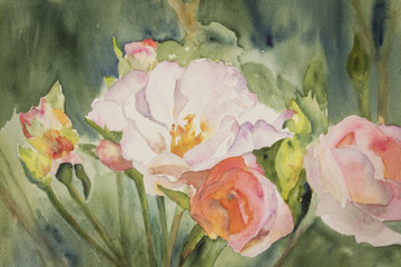 Roses © Goff Photography