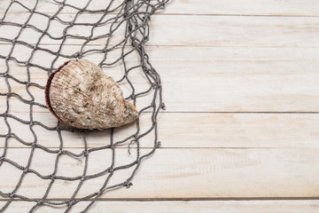 Fishing net with seashell on wooden background