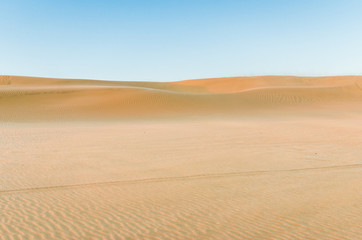 Fototapeta na wymiar Dune in the desert with yellow sand. Selective focus