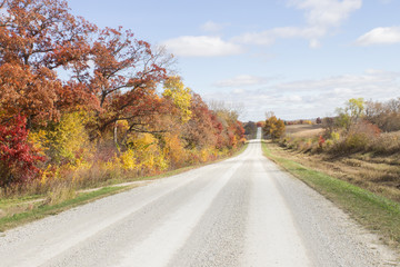 Fototapeta premium Fall Road
