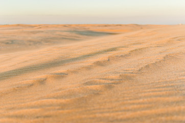 Dune in the desert with yellow sand. Selective focus