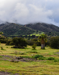 Green path to the clouds