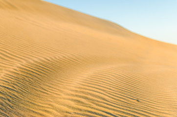 Dune in the desert with yellow sand. Selective focus
