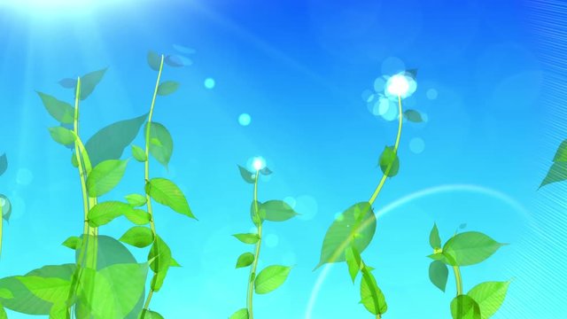 生長する植物イメージ_空の背景