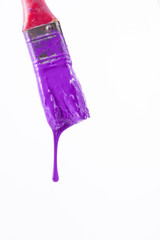 Paint brushes isolated on white background