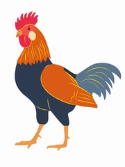 illustration of rooster, vector draw