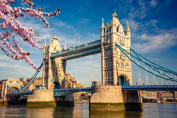 Papier peint adhésif Londres Tower bridge avec fleurs de cerisier, Londres