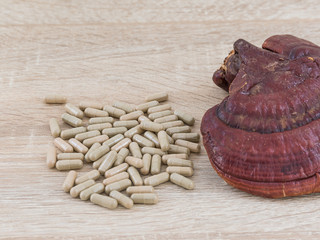 Ganoderma lucidum capsule - Ling zhi mushroom