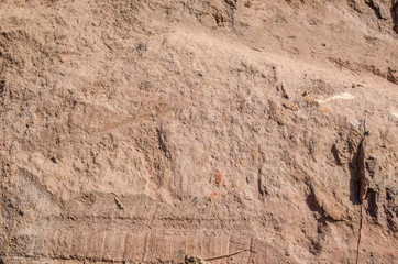 Close up of earth soil texture