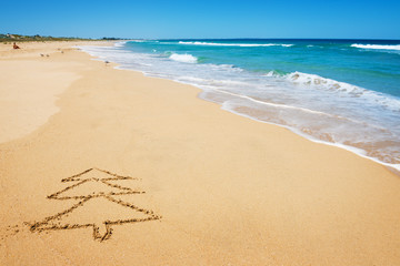 Fototapeta na wymiar Christmas tree on the beach