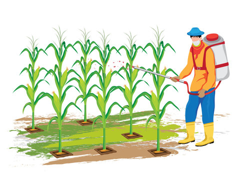 lifestyle of agriculture vector design