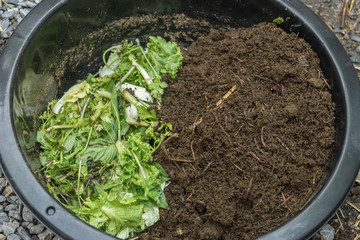 method to feeding earthworms in enameled bowl
