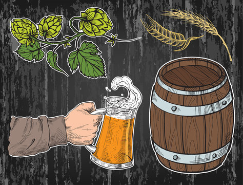 Watercolor Hand Holding With Beer Mug, Barrel, Hops, Ears In Graphic Style Vector Illustration