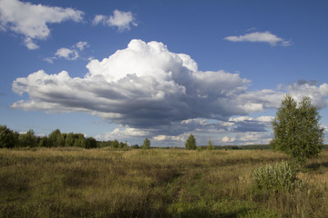 Obraz premium Rural landscape