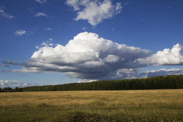 Obraz premium Rural landscape