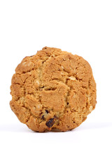 Cranberry cookie on white background
